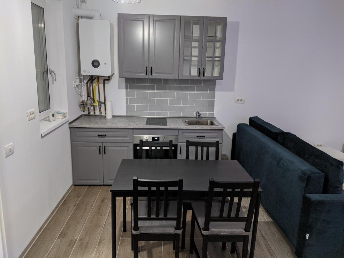 Alina'S Deluxe Apartment And Free Private Parking Dumbravita  Eksteriør bilde